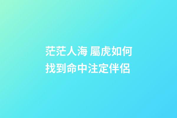 茫茫人海 屬虎如何找到命中注定伴侶